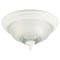 Westinghouse Westinghouse 7 in. H X 13.39 in. W X 13.25 in. L Ceiling Light 66162 - alternate 1